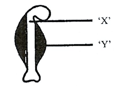 মানব শরীরতত্ত্বঃ চলন ও অঙ্গচালনা সাজেসান্স