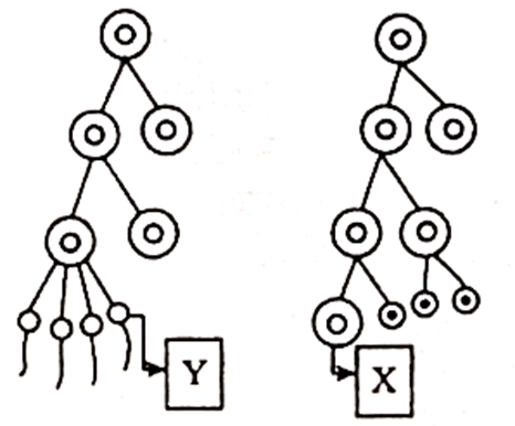 মানব শরীরতত্ত্বঃ মানব জীবনের ধারাবাহিকতা  সাজেসান্স