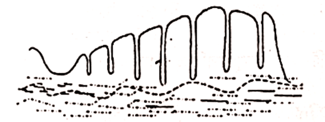 মানব শরীরতত্ত্বঃ মানব জীবনের ধারাবাহিকতা  সাজেসান্স