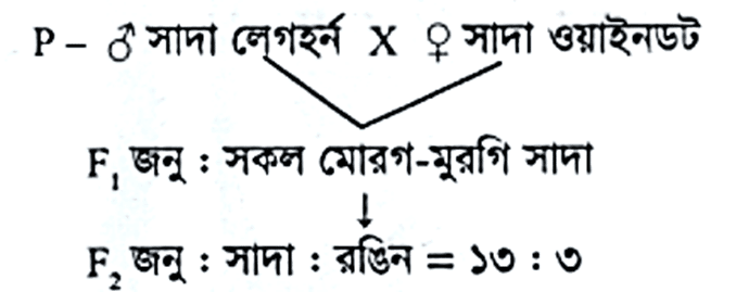 জিনতত্ত্ব ও বিবর্তন সাজেসান্স