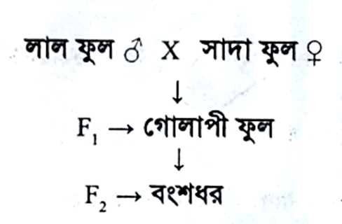 জিনতত্ত্ব <a href=