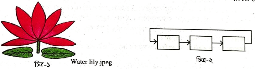 Web Design and HTML CQ suggestion