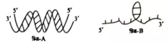 জীববিজ্ঞান সাজেশন ২০২২