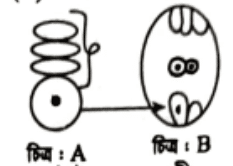 এইচএসসি জীববিজ্ঞান ১মপত্র <a href=