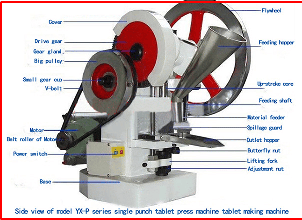 Pharmacognosy Practical │ভেষজ বিজ্ঞান ব্যবহারিক