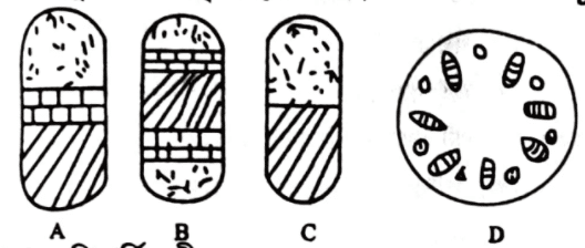 এইচএসসি জীববিজ্ঞান ১মপত্র <a href=