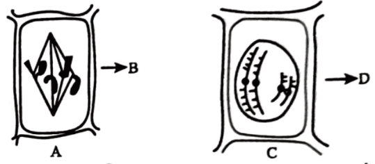 এইচএসসি জীববিজ্ঞান ১মপত্র <a href=