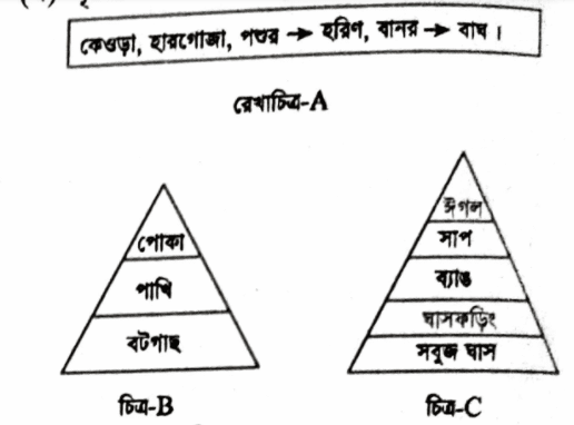 এইচএসসি জীববিজ্ঞান ১মপত্র <a href=