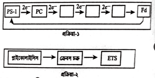 এইচএসসি জীববিজ্ঞান ১মপত্র <a href=