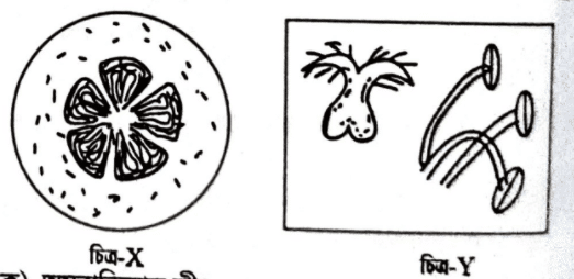 এইচএসসি জীববিজ্ঞান ১মপত্র <a href=