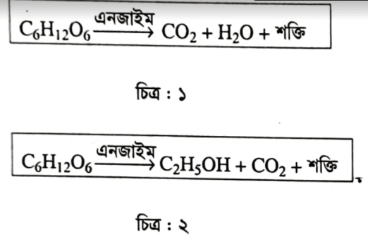 এইচএসসি জীববিজ্ঞান ১মপত্র সৃজনশীল বোর্ড প্রশ্ন ২০১৮
