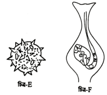 এইচএসসি জীববিজ্ঞান ১মপত্র সৃজনশীল বোর্ড প্রশ্ন ২০১৮