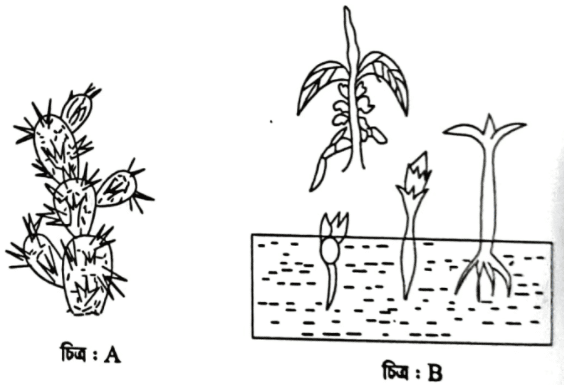 এইচএসসি জীববিজ্ঞান ১মপত্র সৃজনশীল বোর্ড প্রশ্ন ২০১৮