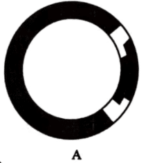 এইচএসসি জীববিজ্ঞান ১মপত্র <a href=