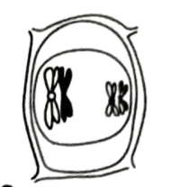 এইচএসসি জীববিজ্ঞান ১মপত্র <a href=