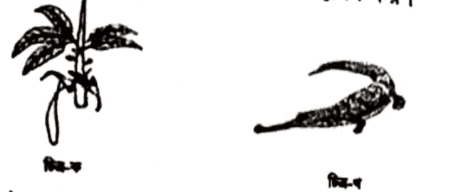 এইচএসসি জীববিজ্ঞান ১মপত্র <a href=