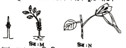 এইচএসসি জীববিজ্ঞান ১মপত্র সৃজনশীল বোর্ড প্রশ্ন ২০১৭