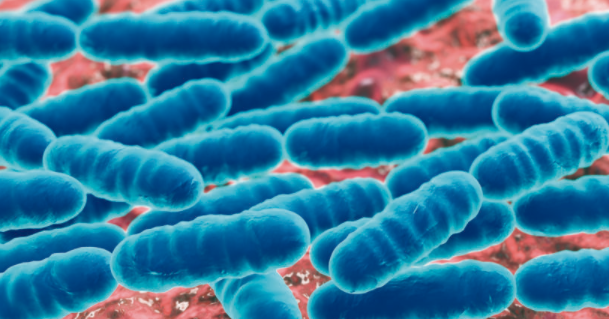 HSC Biology First paper Suggestion and Board Question