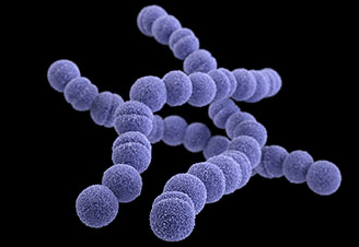Biotechnology and Genetic Engineering Practical