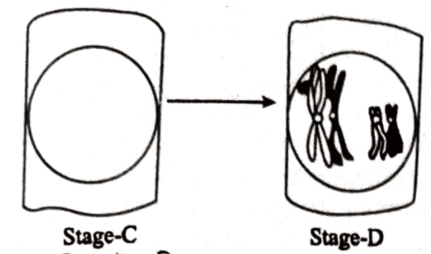 এইচএসসি জীববিজ্ঞান ১মপত্র <a href=