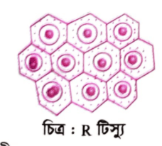 জীববিজ্ঞান বোর্ড প্রশ্ন ২০২১ <a href=