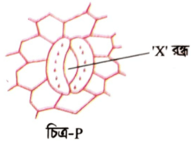 জীববিজ্ঞান বোর্ড প্রশ্ন ২০২১ <a href=