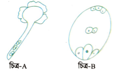 জীববিজ্ঞান বোর্ড প্রশ্ন ২০২১ <a href=