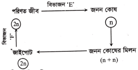জীববিজ্ঞান বোর্ড প্রশ্ন ২০২১ <a href=
