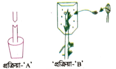 জীববিজ্ঞান বোর্ড প্রশ্ন ২০২১ <a href=