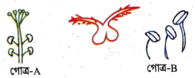 জীববিজ্ঞান বোর্ড প্রশ্ন ২০২১ ║ <a href=