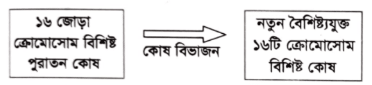জীববিজ্ঞান বোর্ড প্রশ্ন ২০২১ ║ HSC Botany Board Question 2021 ║ বোটানি সাজেসান্স ║ জীববিজ্ঞান সাজেসান্স ║ Botany Board Question