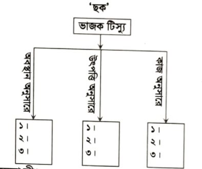 জীববিজ্ঞান বোর্ড প্রশ্ন ২০২১ ║ HSC Botany Board Question 2021 ║ বোটানি সাজেসান্স ║ জীববিজ্ঞান সাজেসান্স ║ Botany Board Question