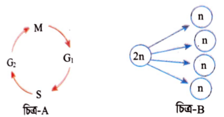 জীববিজ্ঞান বোর্ড প্রশ্ন ২০২১ <a href=