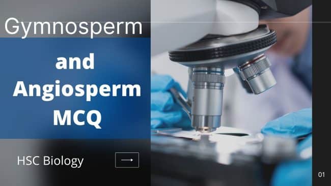নগ্নবীজী ও আবৃতবীজী উদ্ভিদ MCQ Gymnosperm and Angiosperm MCQ