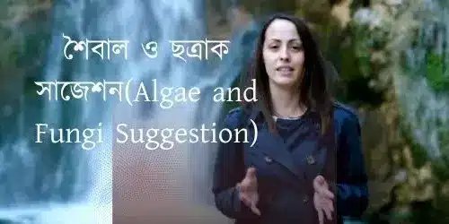 শৈবাল ও ছত্রাক সাজেশন(Algae and Fungi Suggestion)