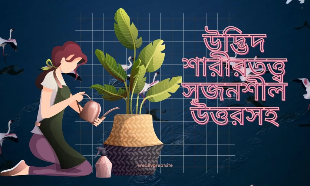 উদ্ভিদ শারীরত্তত্ব সৃজনশীল বোর্ড প্রশ্ন ও উত্তর