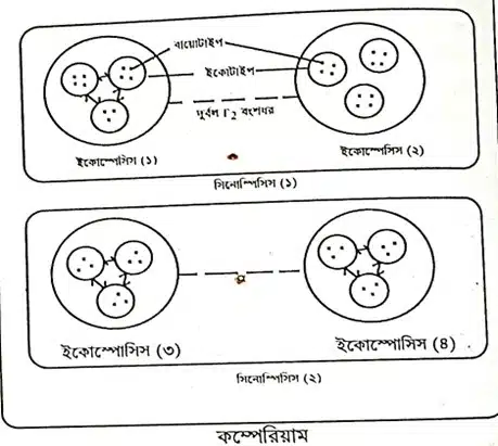 বায়োসিস্টেমেটিক্স / পরীক্ষামূলক ট্যাক্সোনমি: Biosystematics or Experimental Taxonomy Taxon