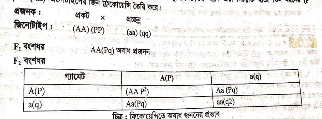 পপুলেশনের বংশগতি ( population Genetics )