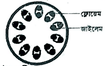 HSC Biology 1st Question 2022 / জীববিজ্ঞান ১মপত্র প্রশ্ন ২০২২ / উদ্ভিদবিজ্ঞান প্রশ্ন ২০২২ / Botany Quesiton 2022