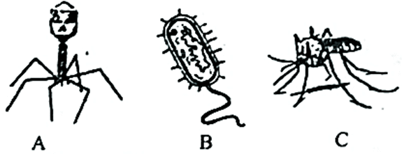 HSC Biology 1st Question 2022 / জীববিজ্ঞান ১মপত্র প্রশ্ন ২০২২ / উদ্ভিদবিজ্ঞান প্রশ্ন ২০২২ / Botany Quesiton 2022