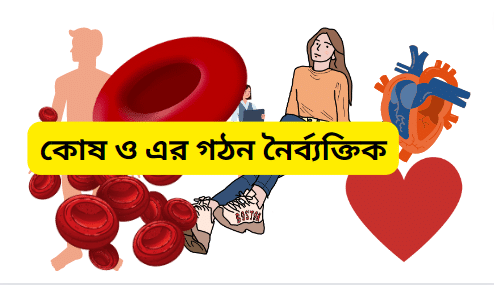 কোষ ও এর গঠন নৈর্ব্যক্তিক পার্ট-১