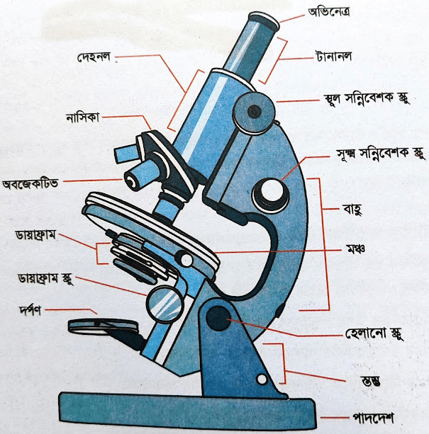 জীববিজ্ঞান ১মপত্র ব্যবহারিক│উদ্ভিদবিজ্ঞান ব্যবহারিক │Biology practical │HSC