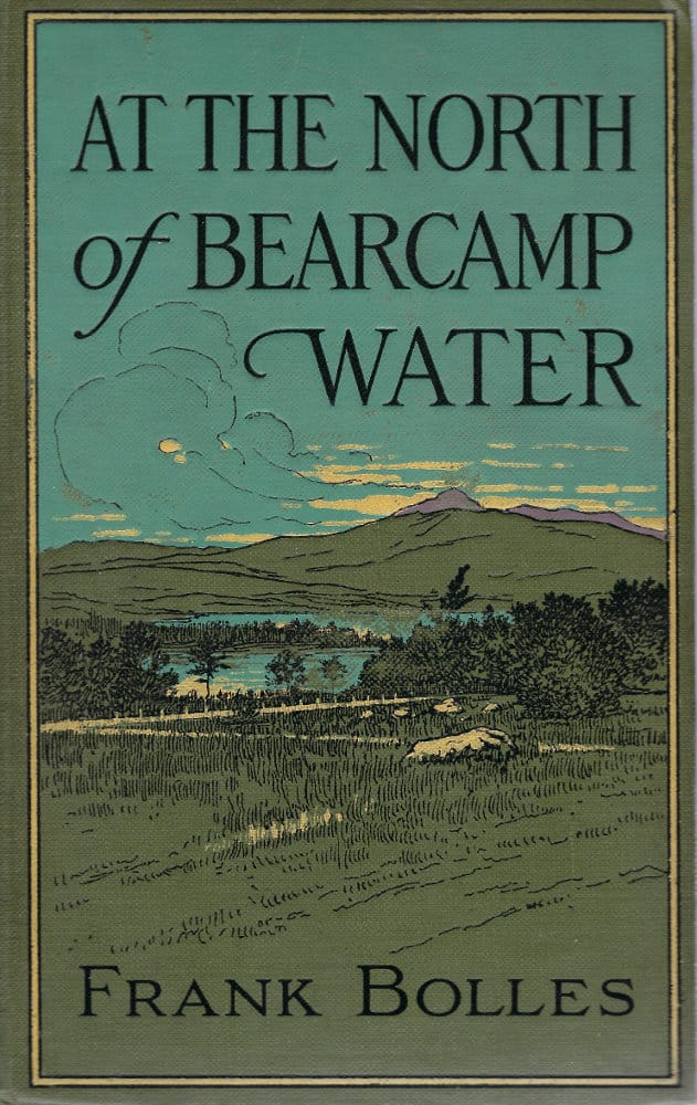 Dwarf Fortress Stagnant Water