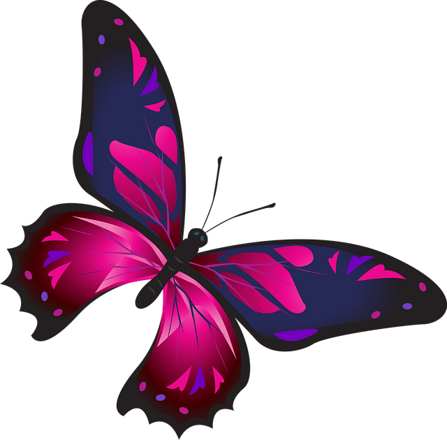 How to draw a butterfly