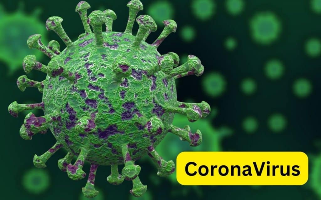 Coronavirus paragraph For HSC Degree Masters