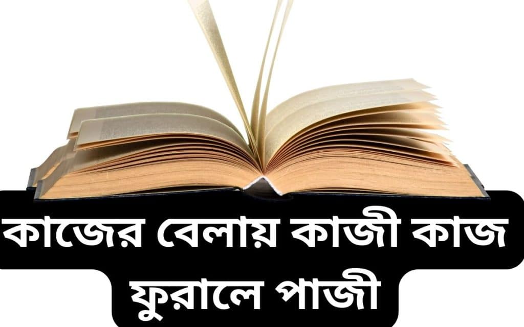 কাজের বেলায় কাজী কাজ ফুরালে পাজী