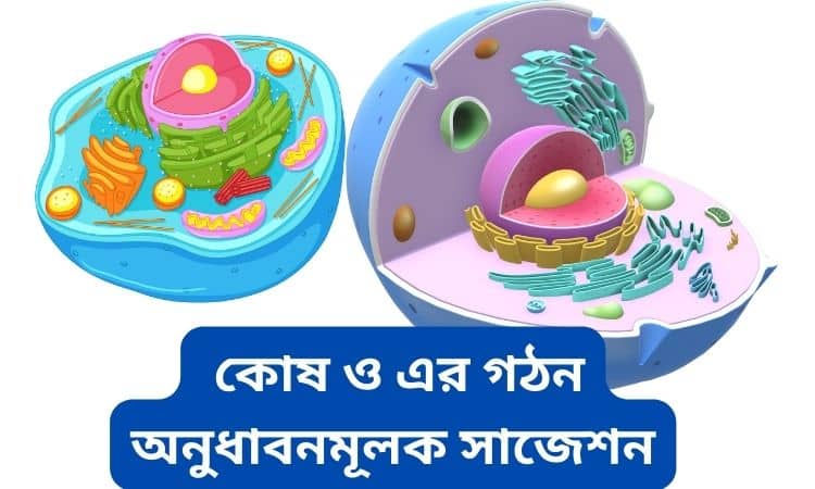 কোষ ও এর গঠন অনুধাবনমূলক প্রশ্ন সাজেশন
